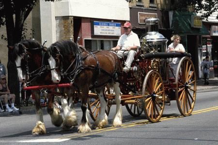 Fire Dept. History