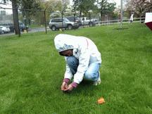 Arbor Day 2010