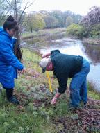 Arbor Day 2010
