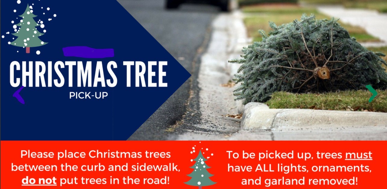 Christmas Tree Pick-Up - Town of Dover